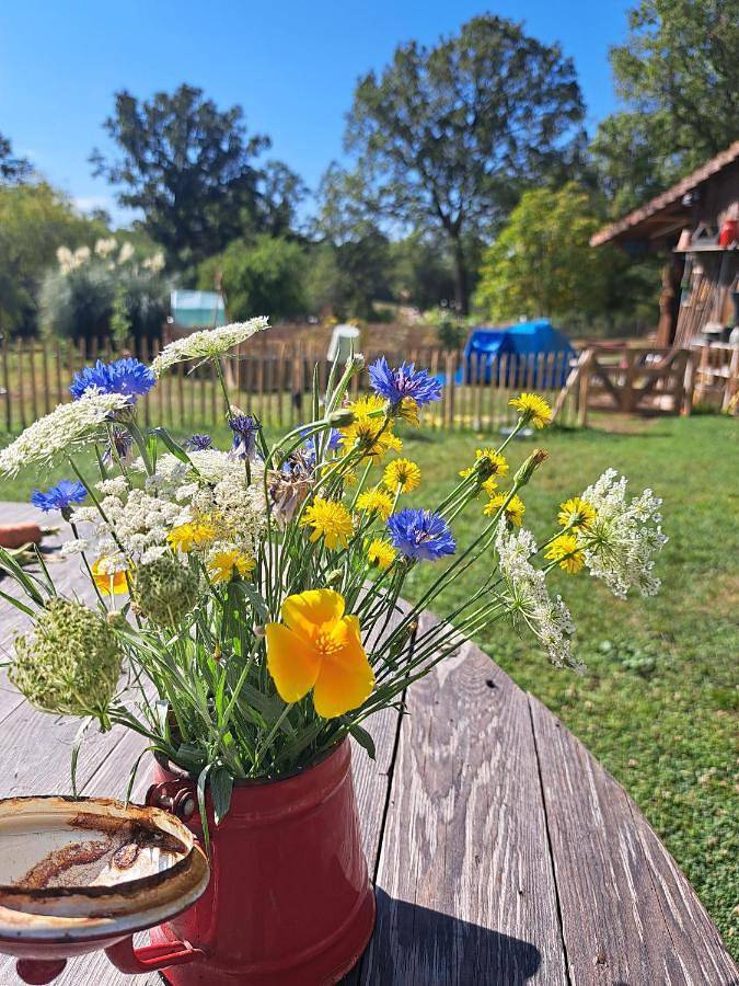 Chambre d’hôte pour 2 personnes, avec piscine ainsi que vue et jardin à Brigueil-le-Chantre - 3