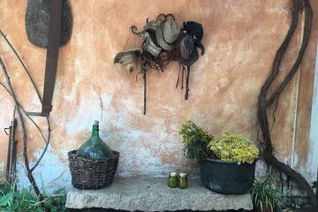Gîte pour 5 personnes, avec balcon et jardin, animaux acceptés dans Sardaigne du Nord
