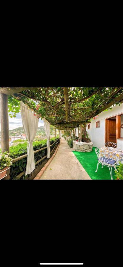 Maison d’hôte pour 6 personnes, avec vue et jardin dans Ischia - 4