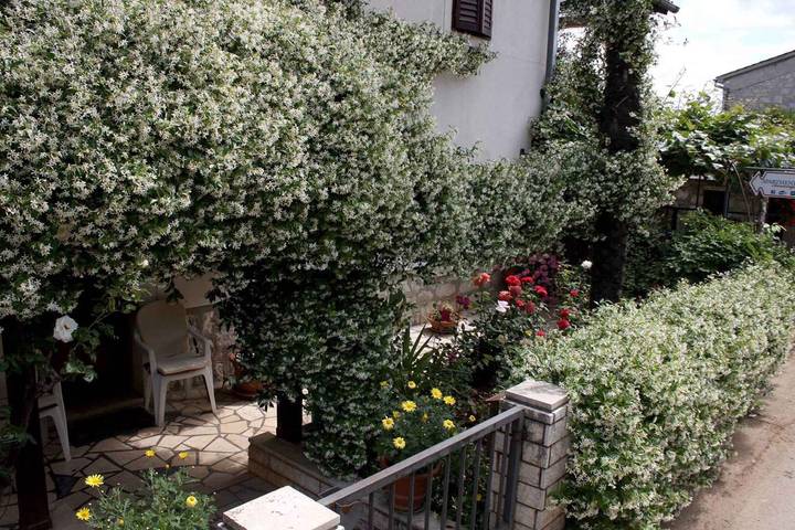 Studio für 2 Personen, mit Garten, mit Haustier in Funtana - 4