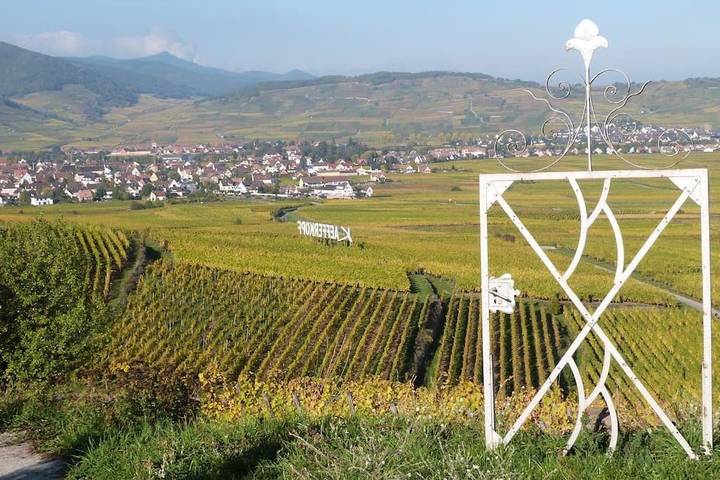 Ferienwohnung für 7 Personen, mit Garten und Ausblick in Ammerschwihr