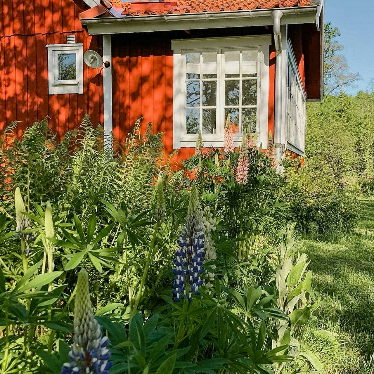 Waldrefugium mit Holzofen in Skåne in Osby und Umgebung