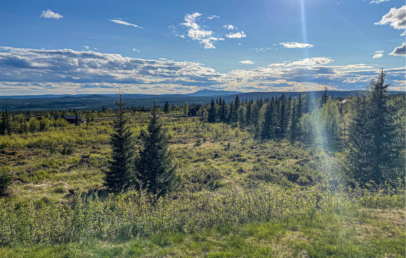 Feriehus for 9 personer med terrasse in Trysil