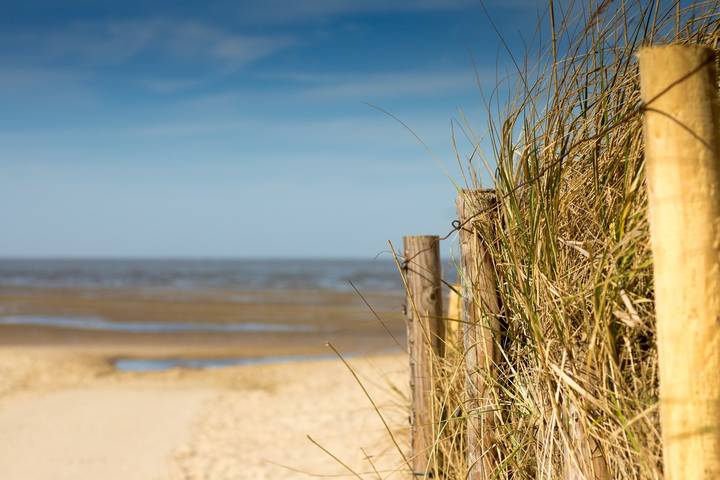 Ganze Wohnung, Cuxduhier Ug - Robbe in Sahlenburg Strand, Cuxhaven
