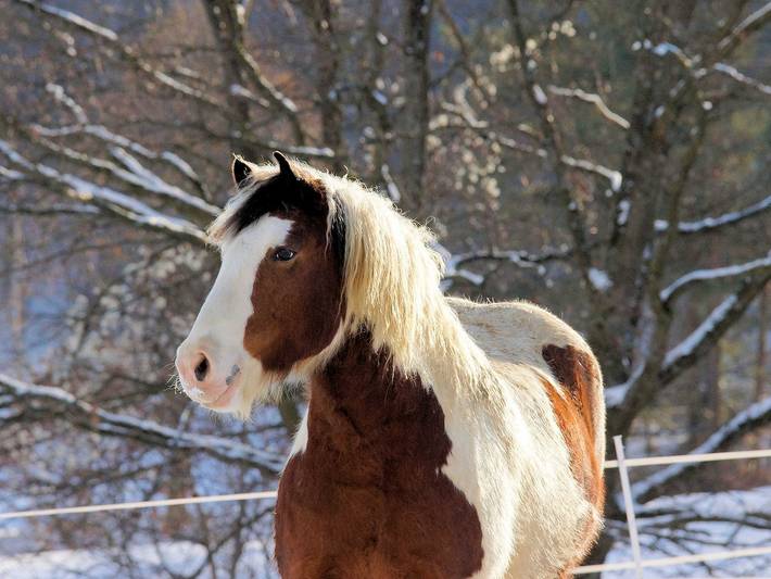 Ferienwohnung für 4 Personen, mit Garten in der Fränkische Schweiz - 2