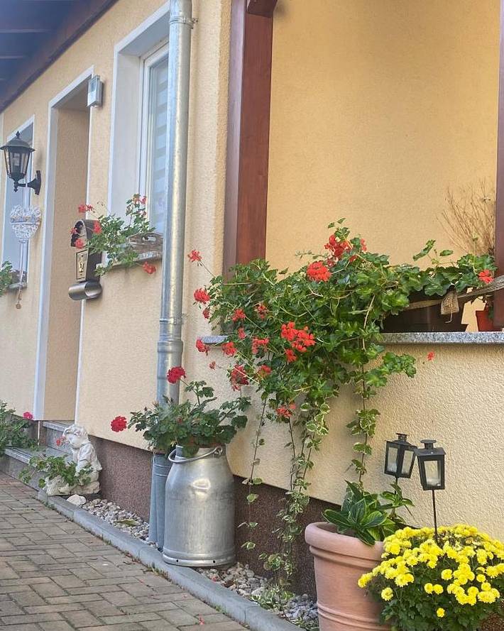 Ferienwohnung für 6 Personen, mit Balkon und Garten sowie Sauna in Bad Lausick