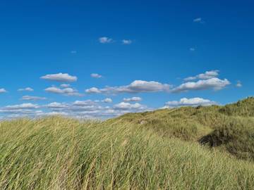 Ferieudlejning til 12 Personer i Vesterhavet, Billede 4