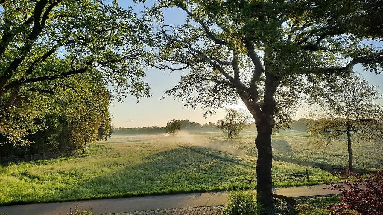 Ganze Ferienwohnung, Ferienwohnung für 4 Personen (110 m²) in Westerstede in Westerstede, Ammerland