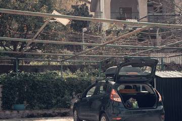 Villa per 7 Persone in Trabia, Provincia di Palermo, Foto 4