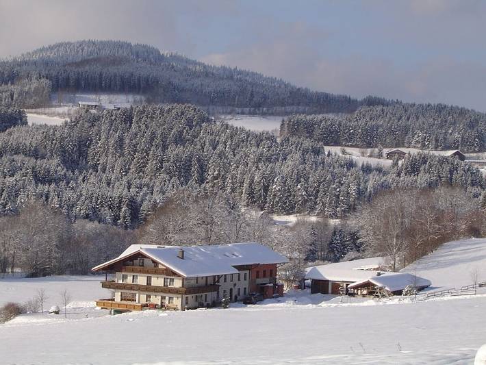 Ferienhaus für 3 Personen, mit Sauna und Garten in Drachselsried - 2