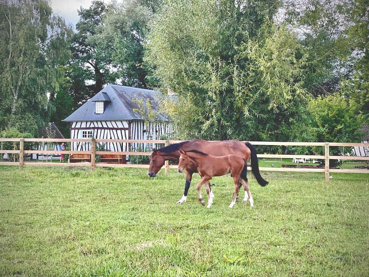 "Au bruit de l'Yères" Maison de charme - Bain nordique - Rivière - Chevaux in Canehan, Région de Dieppe