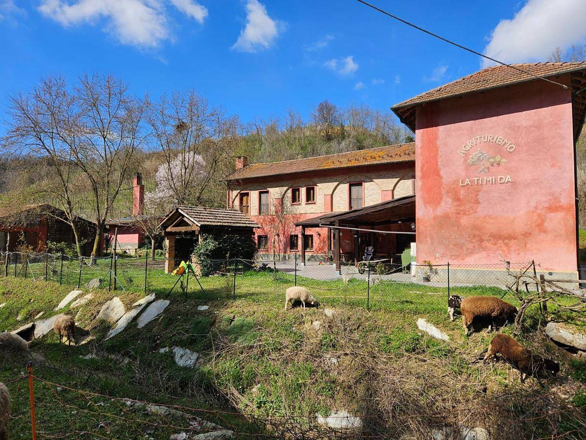 Studio entier, Agriturismo La.Ti.Mi.Da. in Cassine, Province d'Alexandrie