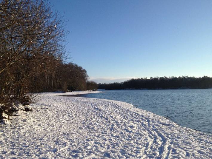 Ferienhaus für 7 Personen, mit Garten und Sauna sowie Terrasse im Oldenburger Münsterland - 4