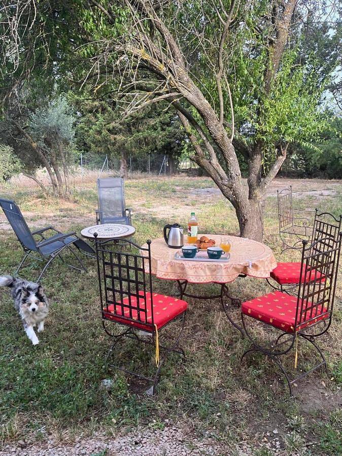 Location de vacances pour 2 personnes, avec vue et jardin, animaux acceptés à Violès - 4