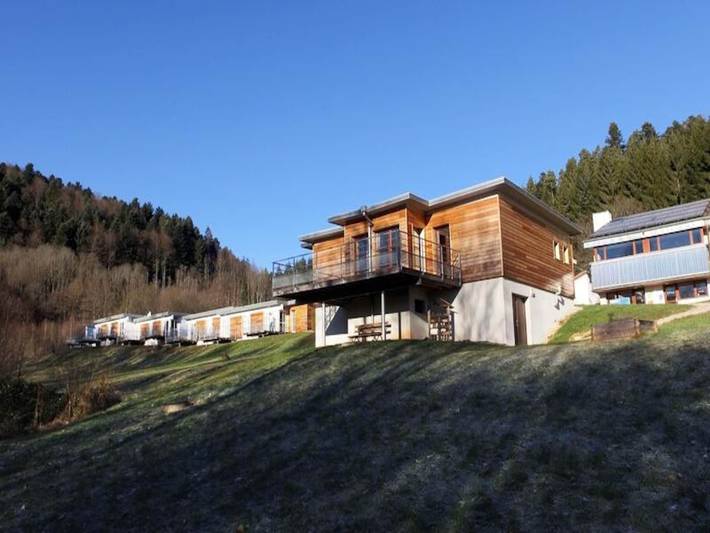 Bauernhof für 4 Personen, mit Sauna und Pool, mit Haustier im Elsass - 4