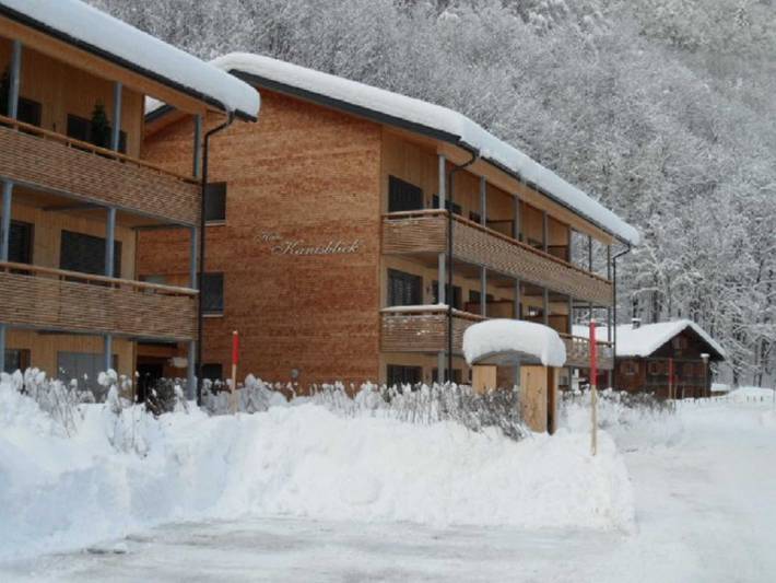 Ferienwohnung für 6 Personen, mit Balkon und Terrasse in Schnepfau