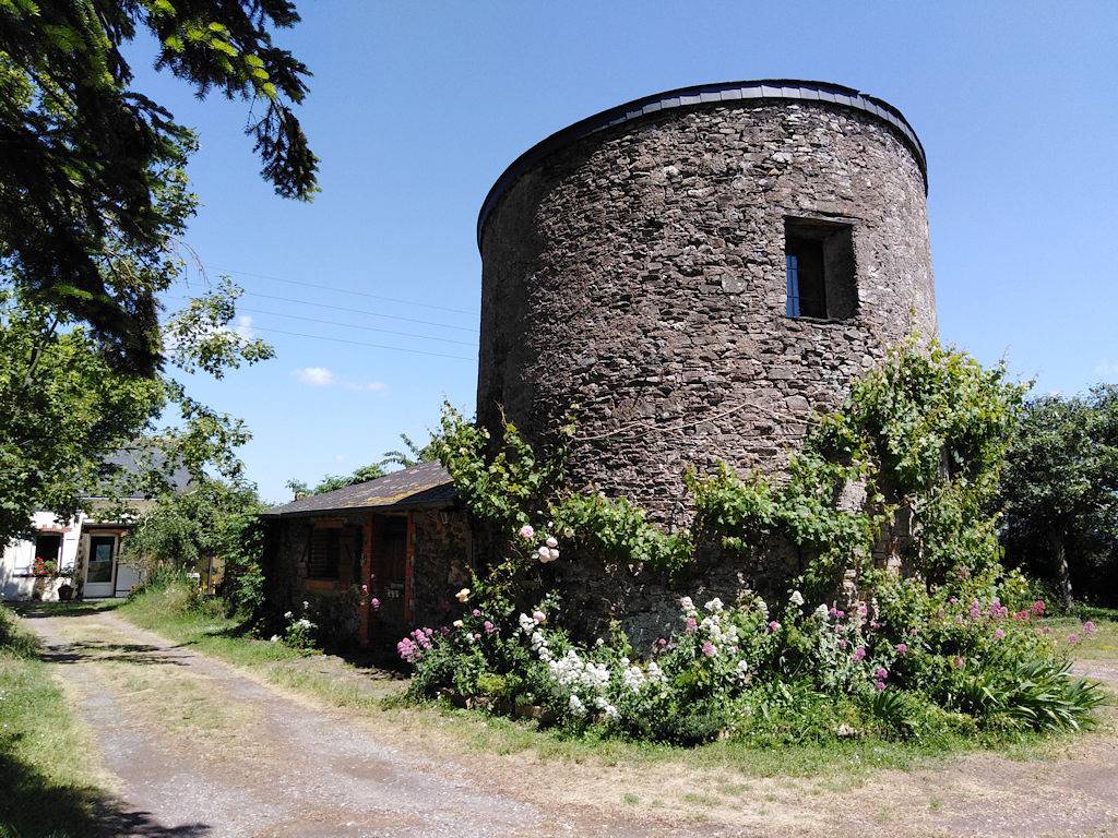Chambre d’hôtes du Haut Saulay - Chambre in La Cornuaille, Région d'Angers