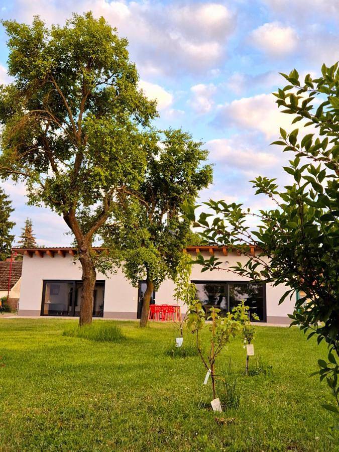 Ferienhaus für 4 Personen, mit Terrasse und Garten sowie Sauna und Ausblick in Oderbruch