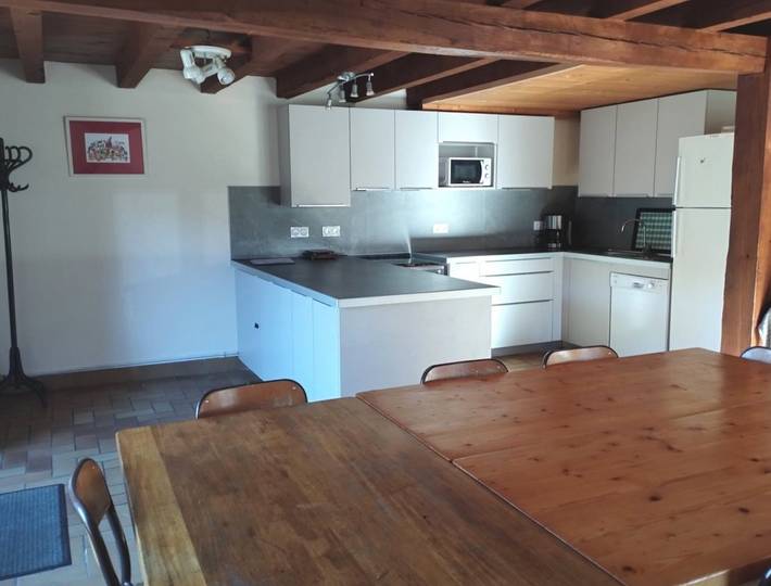 Gîte pour 14 personnes, avec terrasse et jardin, animaux acceptés dans Lac de Génos-Loudenvielle - 4