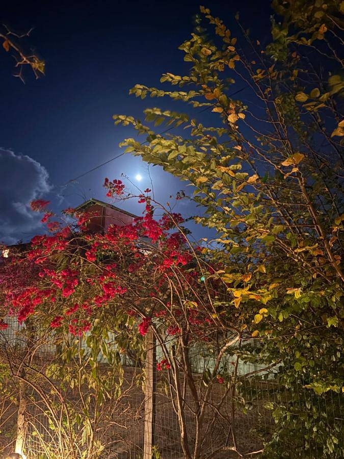 Casas e apartamentos de temporada para 2 pessoas, com vista e piscina e ainda jardim em São Miguel do Gostoso