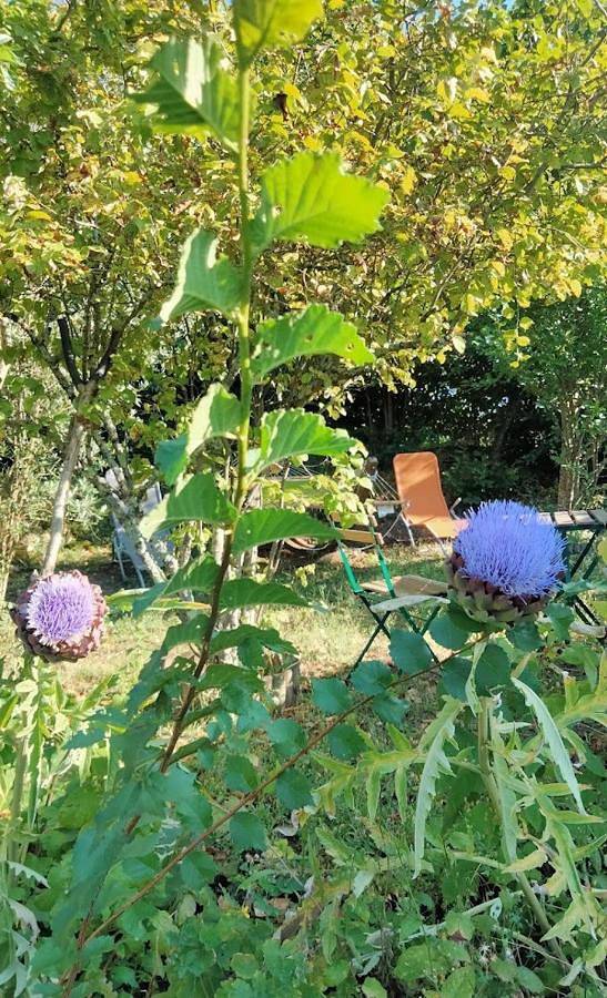 Location de vacances pour 6 personnes, avec Balcon et Terrasse ainsi que Jardin et Vue à Montlouis-sur-Loire