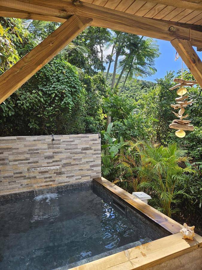 Location de vacances pour 4 personnes, avec terrasse et vue ainsi que piscine et jardin à Gourbeyre