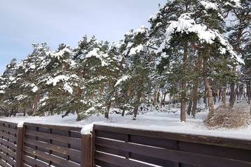 Bauernhof für 4 Personen, mit Terrasse und Garten im Harz