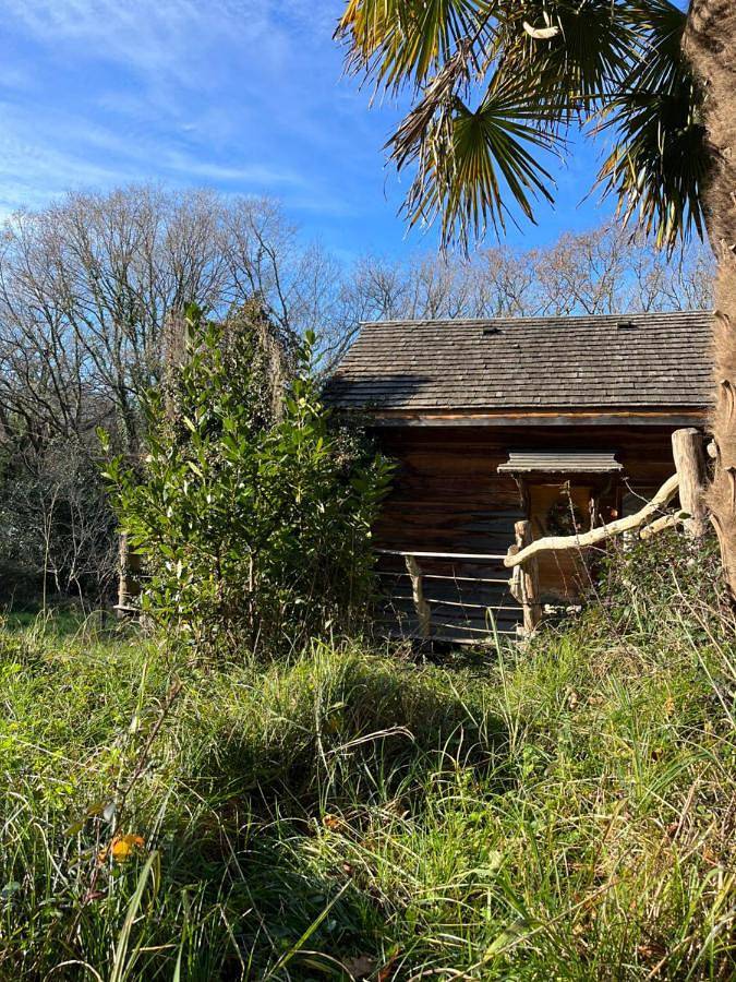 Location de vacances pour 2 personnes, avec terrasse à Bassussarry - 4