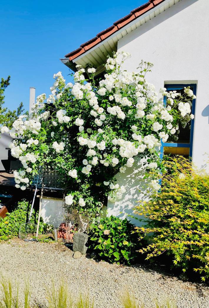 Ferienhaus für 2 Personen, mit Garten in Landkreis Haßberge - 2