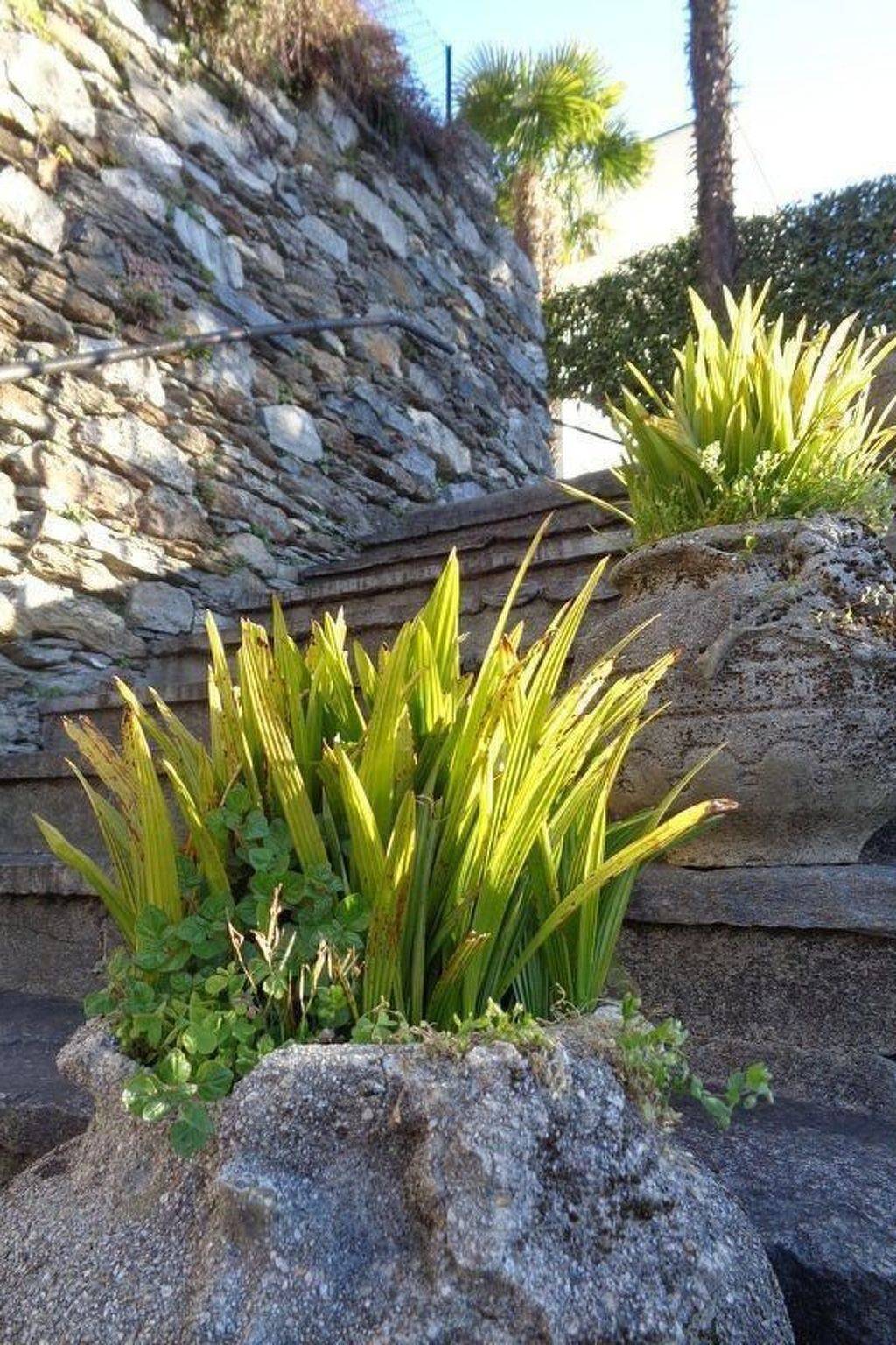 Ganze Wohnung, Casa Fiore in Brissago, Tessiner Alpen