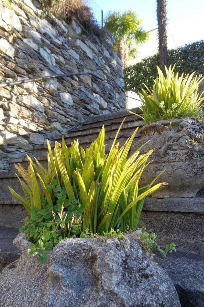 Ganze Wohnung, Casa Fiore in Porta (Brissago), Brissago