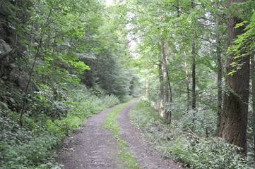 Bnb für 2 Personen in Bad Liebenzell, Nordschwarzwald, Bild 3