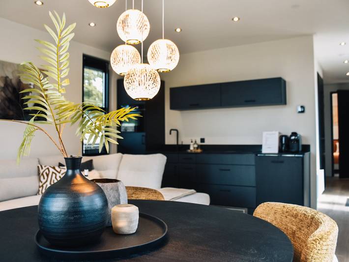 Ferienhaus für 4 Personen, mit Kinderpool und Terrasse in Bloemendaal - 2