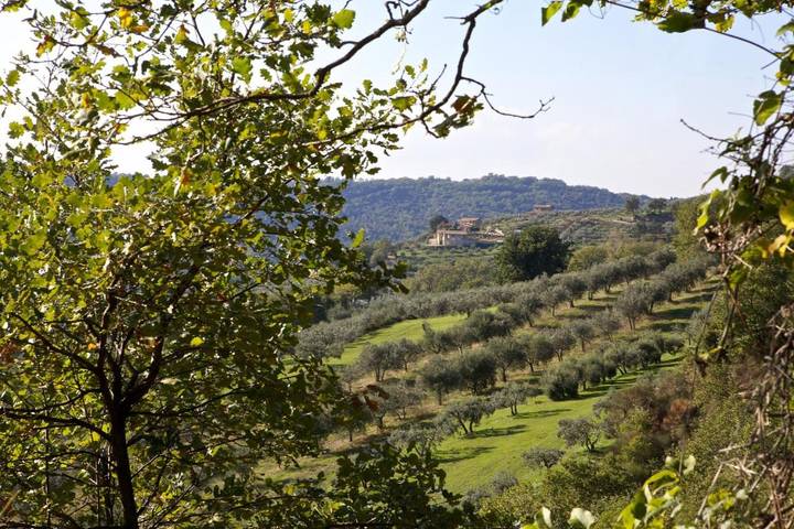 Location de vacances pour 22 personnes, avec piscine ainsi que vue et jardin, animaux acceptés à Gualdo Cattaneo - 2