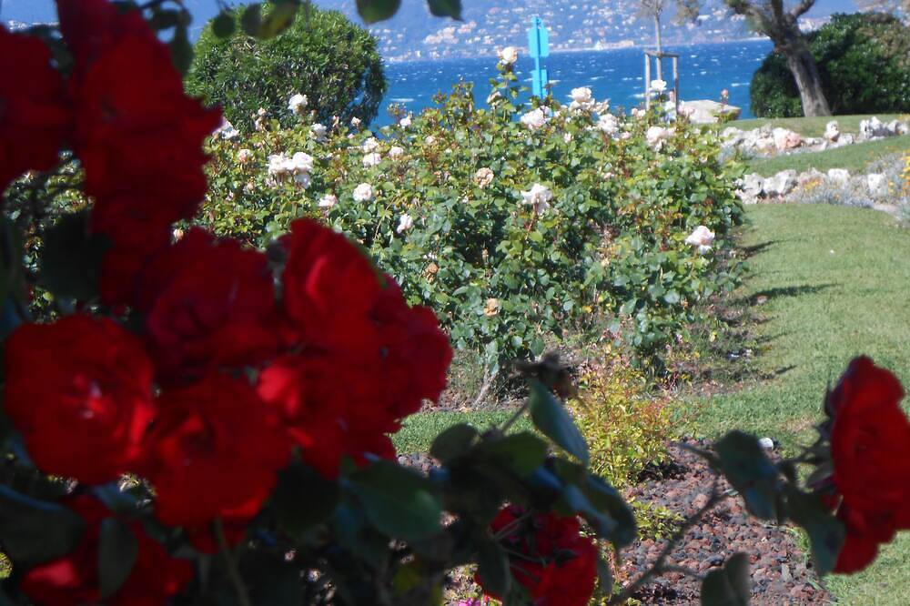 Apartamento entero, Encantador apartamento de 2 habitaciones, reformado con vistas al mar. in Cannes, Region de Cannes