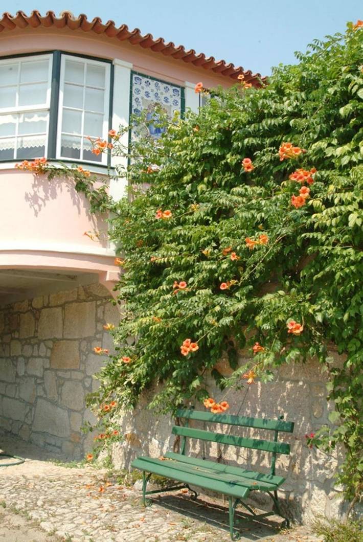 Maison de campagne pour 2 personnes, avec jardin et piscine dans Darque - 4