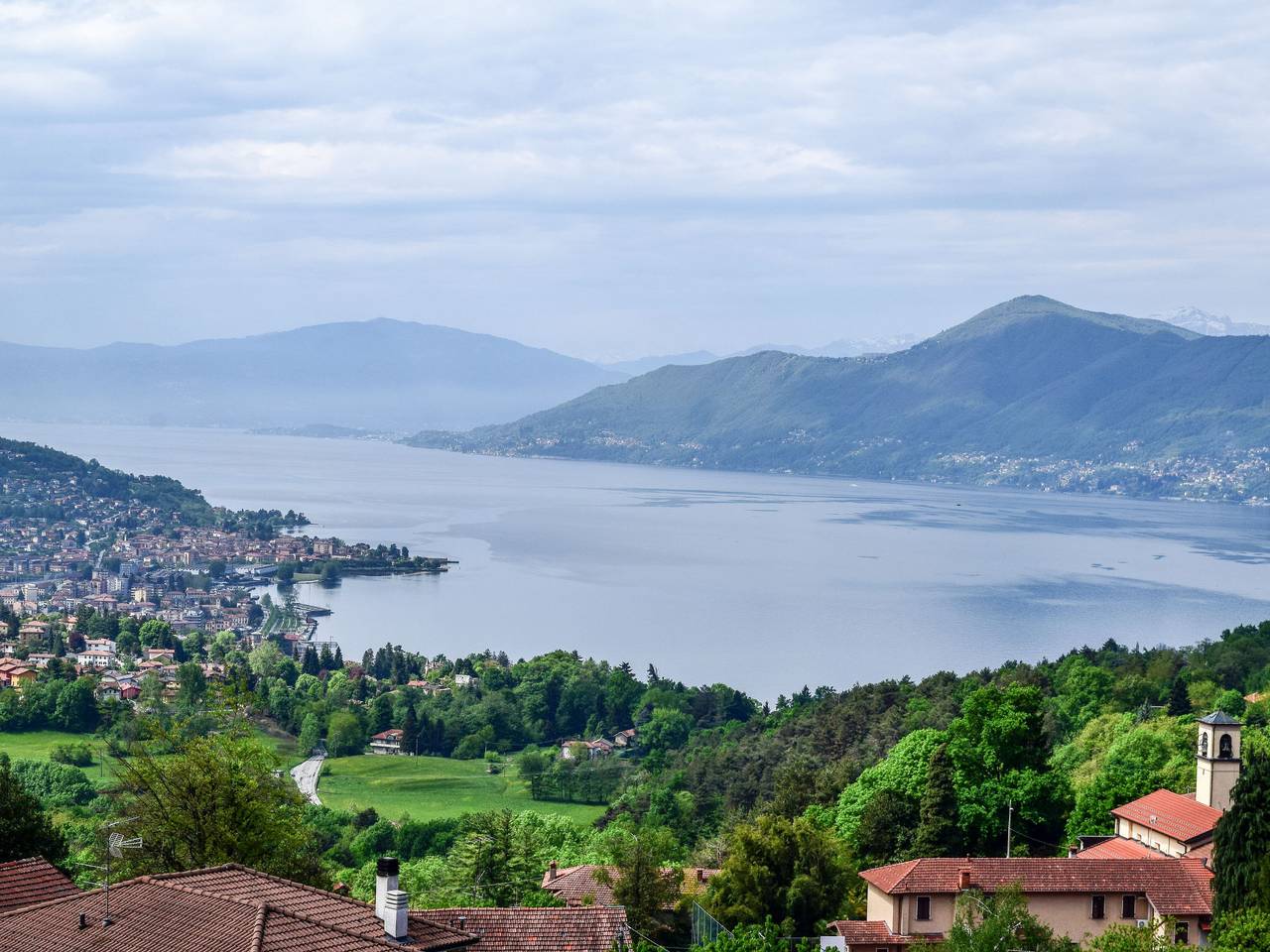Achillea in Comune di Luino, Lago Maggiore (Lombardy)