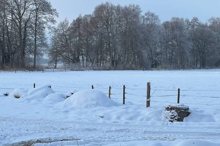 Ferienhaus für 4 Personen, mit Terrasse und Garten in Zwischenahner Meer - 4
