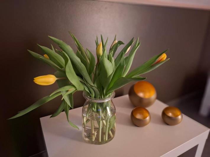 Location de vacances pour 3 personnes, avec jardin et terrasse dans Grand Halleux - 4