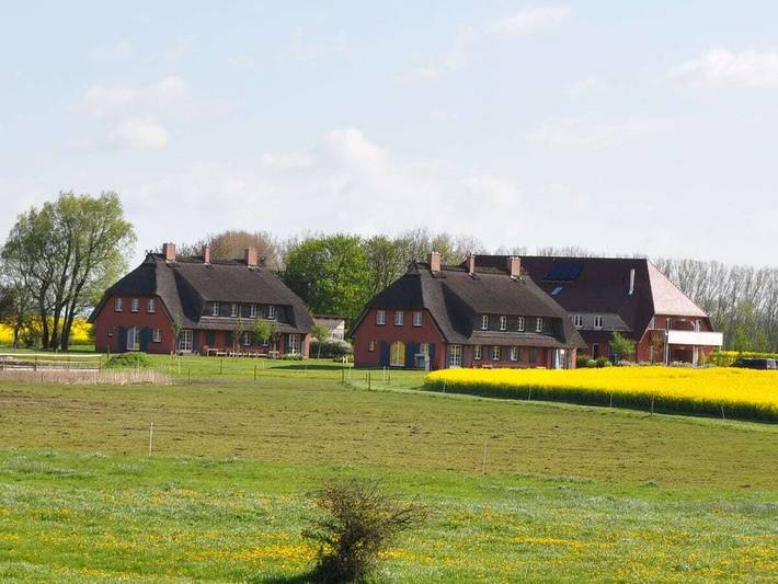 Bauernhaus für 5 Personen, mit Garten und Sauna in Ummanz - 4
