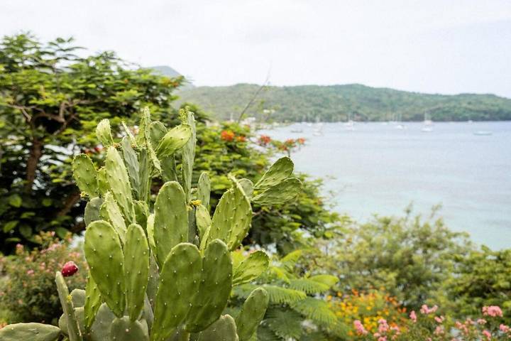 Location de vacances pour 17 personnes, avec jardin et vue à Les Anses-d'Arlet - 2