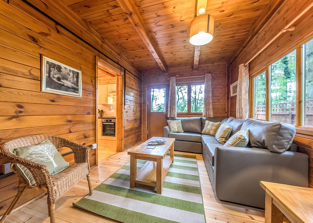 Woodland Hawthorn Lodge in Shropshire
