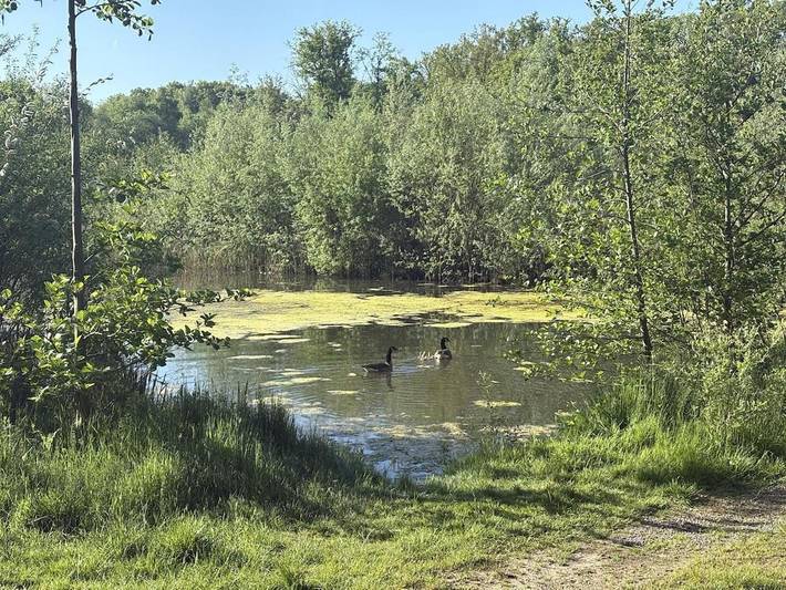 Location de vacances pour 2 personnes, avec terrasse et vue, animaux acceptés à Herselt - 3