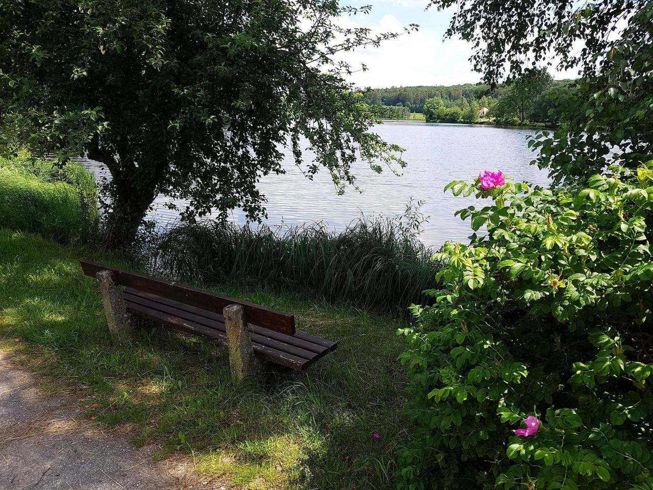 Ganze Ferienwohnung, Ferienwohnungen Seeblick & Entspannung - Ferienwohnung Entspannung in Stiege im Harz, Harzvorland