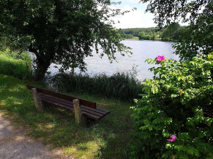 Ferienwohnung für 2 Personen, mit Balkon und Garten sowie Seeblick in Harzgerode
