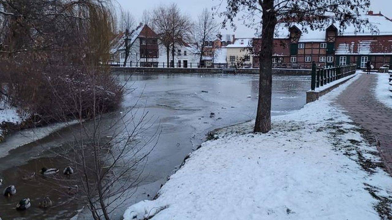 Ferienhaus für 5 Personen (110 m²) in Teterow in Teterow, Lagos de Mecklenburg
