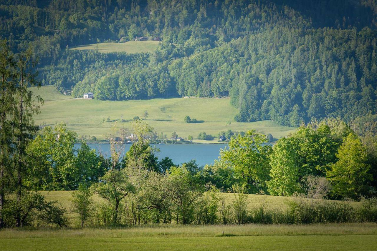 Ganze Wohnung, Arnestgut in Strobl, Bezirk Salzburg-Umgebung