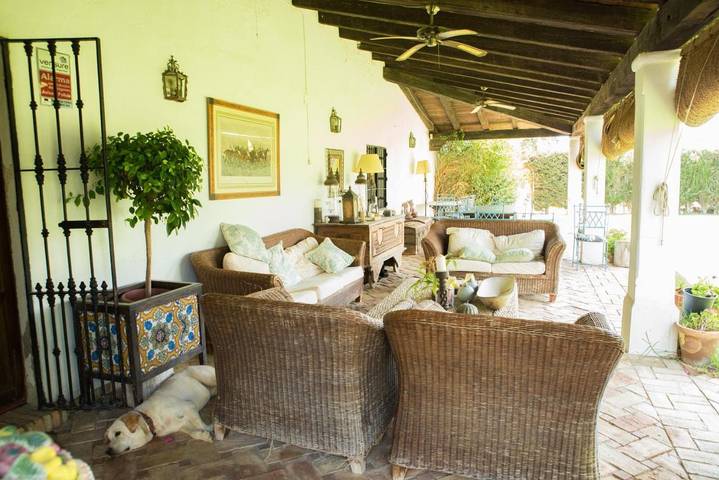 Gîte pour 2 personnes, avec piscine et jardin, animaux acceptés à Utrera - 4