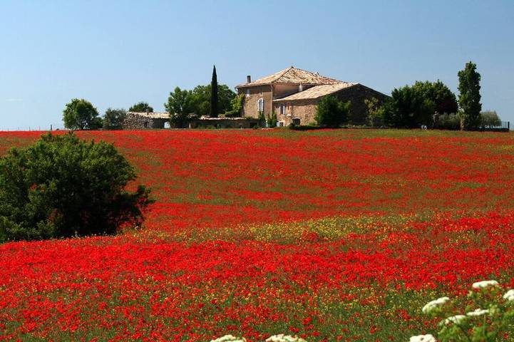 Maison de vacances pour 5 personnes, avec Terrasse ainsi que Jardin et Piscine à Valensole
