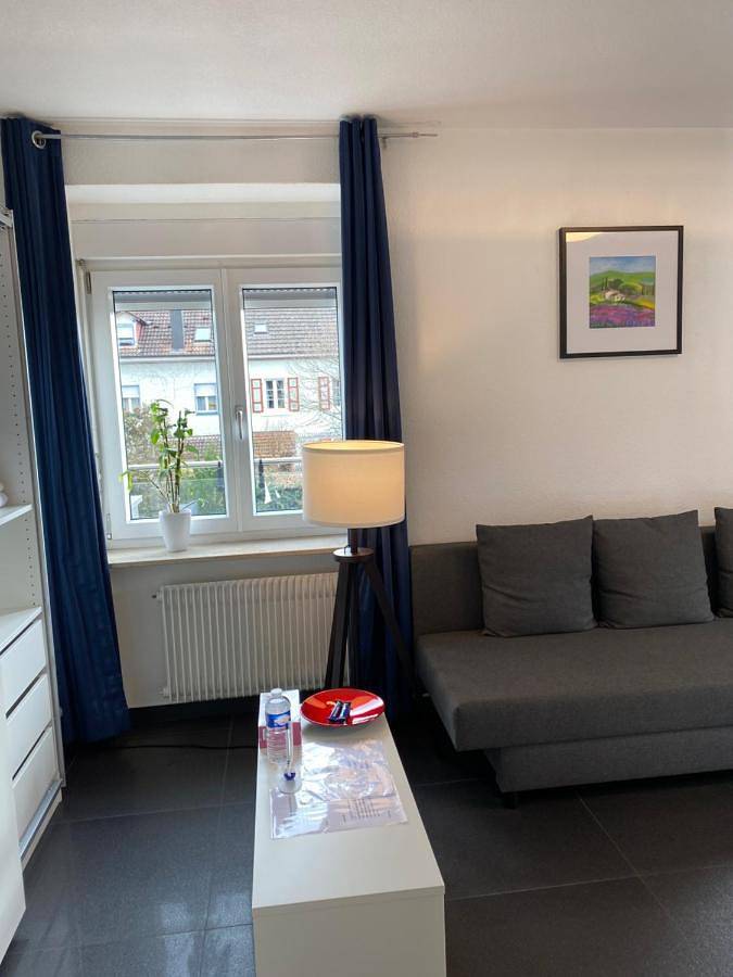 Appartement entier, One-Bedroom Apartment in Lörrach, Forêt-Noire du Sud